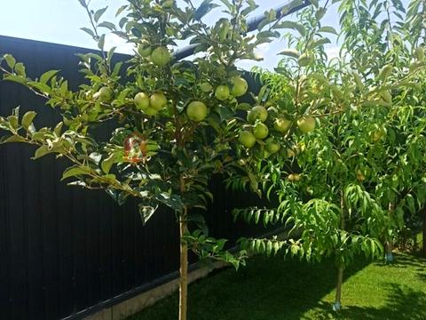 дом по адресу Східна ул.
