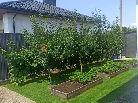 дом по адресу Східна ул.