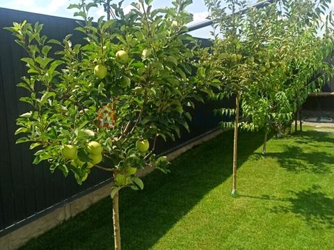 дом по адресу Східна ул.