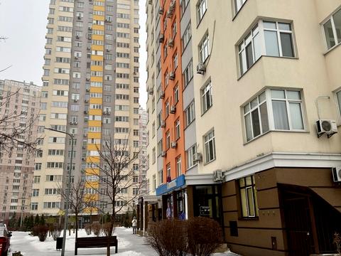 комерційна за адресою Олени Пчілки вул., 3-В