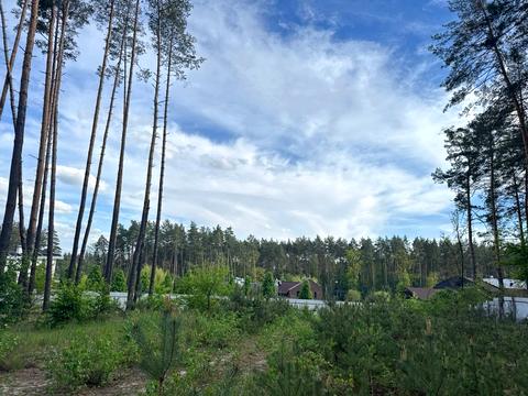 ділянка за адресою в Лісі