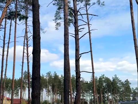 ділянка за адресою в Лісі