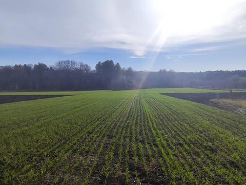 участок по адресу Кагарлык, провулок Пііденний