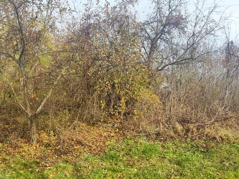 участок по адресу Кагарлык, провулок Пііденний