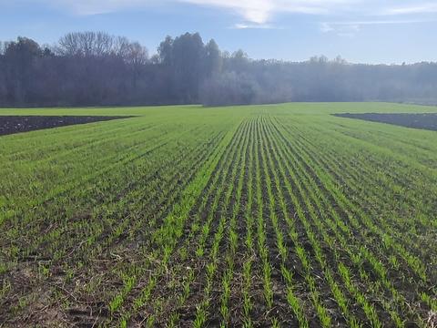 участок по адресу Кагарлык, провулок Пііденний