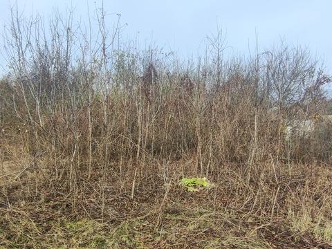 участок по адресу Кагарлык, провулок Пііденний