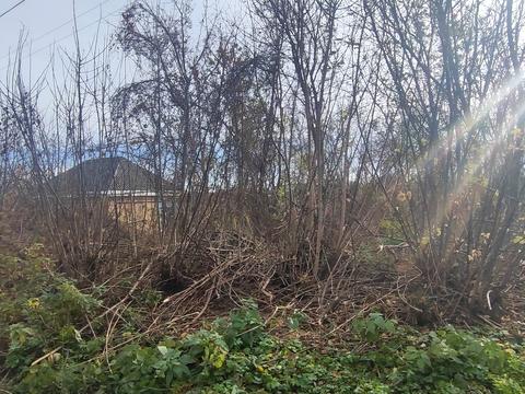 участок по адресу Кагарлык, провулок Пііденний