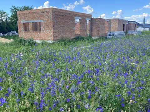 будинок за адресою Ньютона вул.