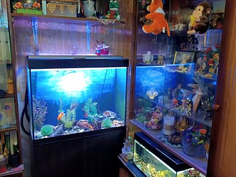 квартира по адресу Архитектора Алёшина просп. (Орджоникидзе), 25