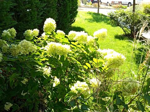 квартира за адресою Марсельська вул., 33/1