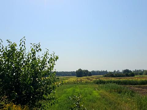 будинок за адресою Шевченка