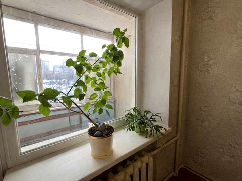 квартира за адресою Григорія Сковороди вул., 10