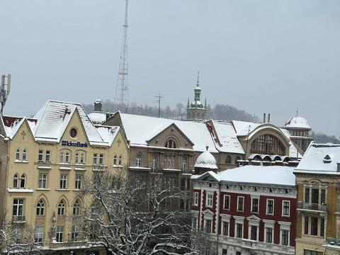 комерційна за адресою Князя Романа вул. (), 4