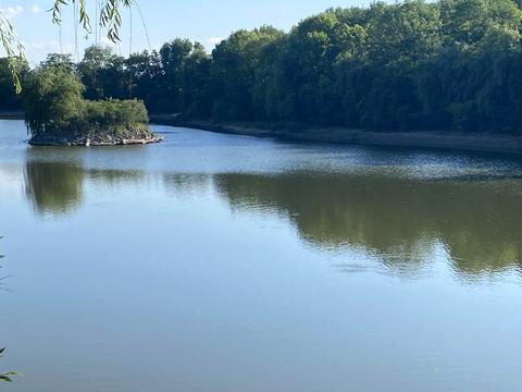 коммерческая по адресу мисливська, 8