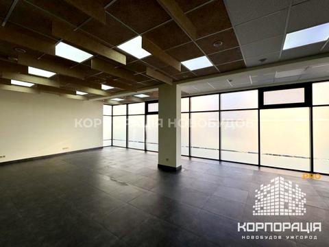 комерційна за адресою Фединця, 1