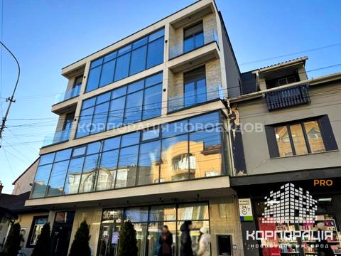 комерційна за адресою Фединця, 1