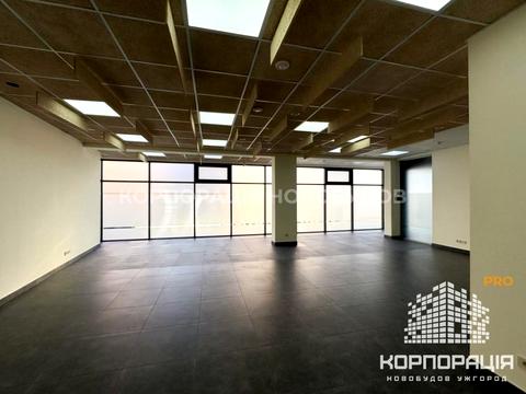 комерційна за адресою Фединця, 1