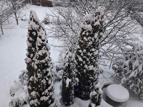 дом по адресу Весняная ул.