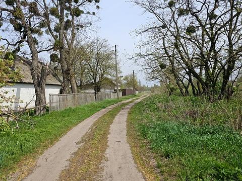 будинок за адресою с. Трубівщина, Запорізька