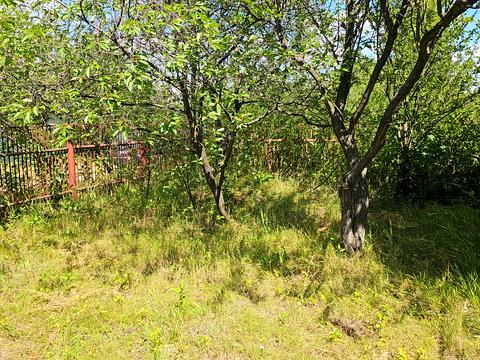 дом по адресу Незалежності