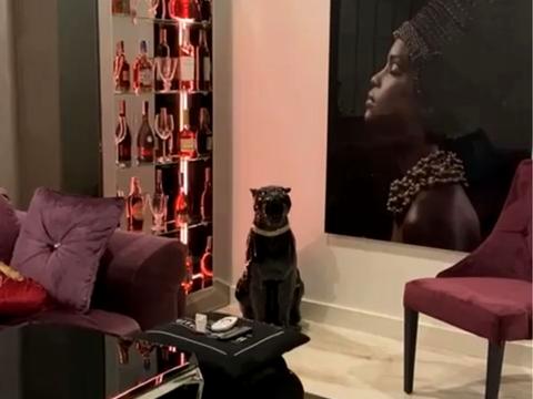 квартира за адресою Андрія Гулого-Гуленка вул. (Віце-адмірала Азарова), 6