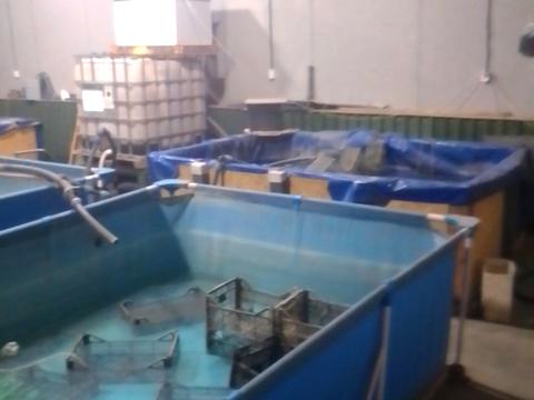 комерційна за адресою Широка, 1