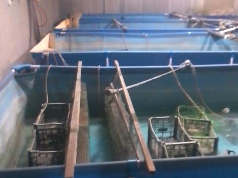 комерційна за адресою Широка, 1