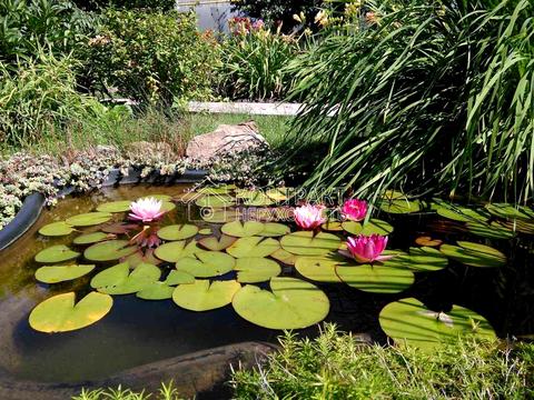 будинок за адресою смт. Покотилівка, Нємкіна вулиця