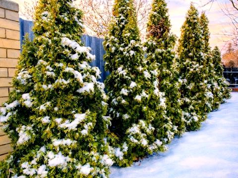 будинок за адресою Садова вул., 141