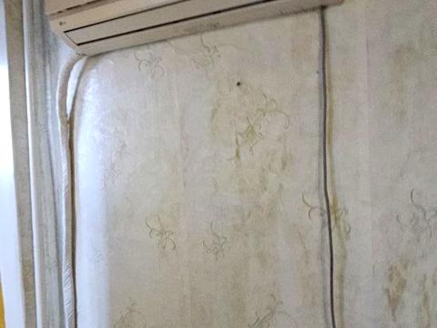 квартира за адресою Чарівна вул., 163