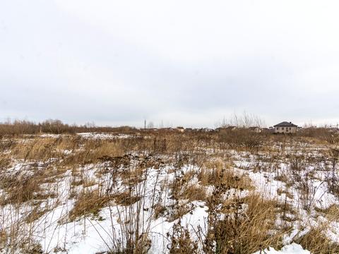 ділянка за адресою с. Крихівці, Воїнів АТО