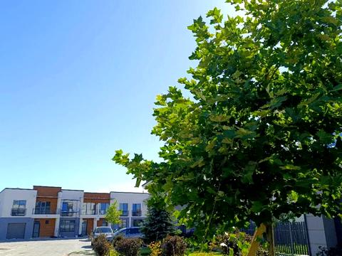 дом по адресу Приймы ул., 8