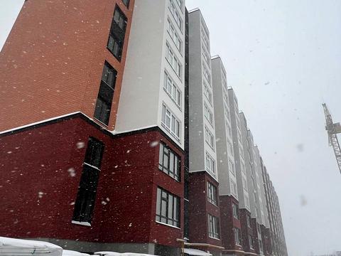 квартира по адресу Мазура Николая ул. (Щербакова), (Будинок 2)