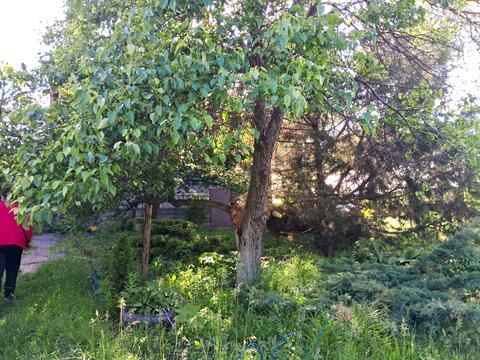 дом по адресу Василя Стуса