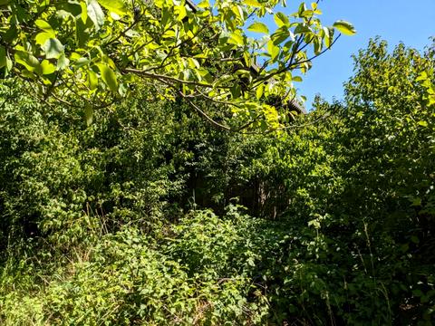 ділянка за адресою 