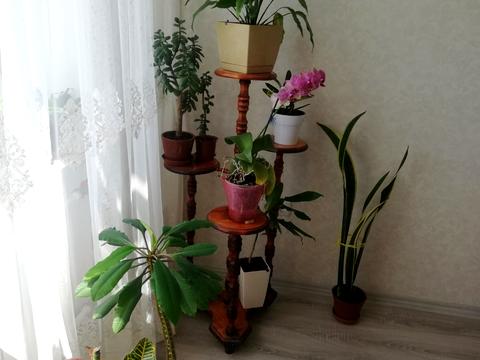 кімната за адресою Одеса, Жоліо Кюрі вул., 22а