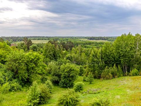 будинок за адресою Лісова