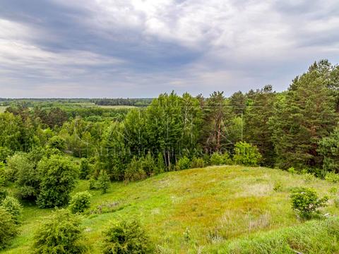 будинок за адресою Лісова