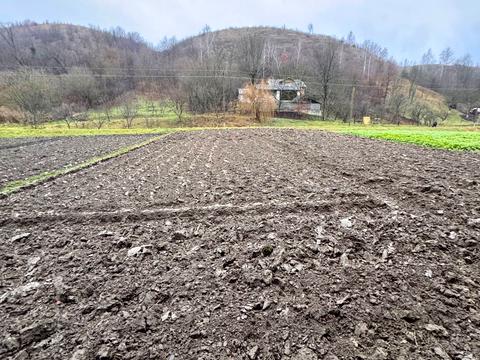 будинок за адресою Шевченка