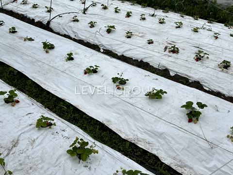 будинок за адресою Польова