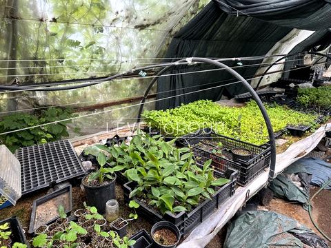 будинок за адресою Польова