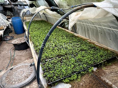 будинок за адресою Польова