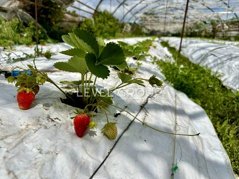 будинок за адресою Польова