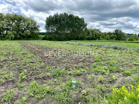 будинок за адресою Польова