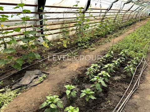 будинок за адресою Польова