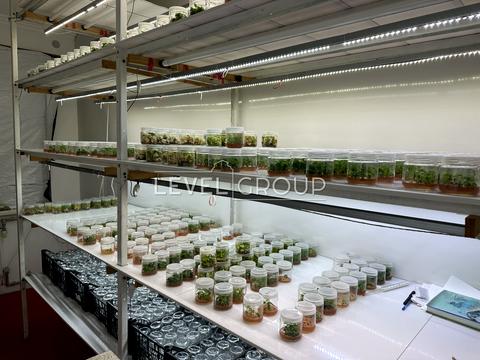 будинок за адресою Польова