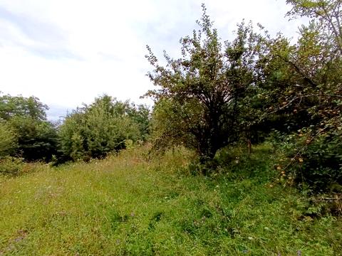 ділянка за адресою Шкільна