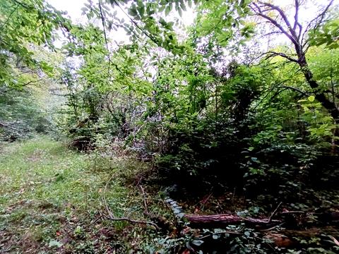 ділянка за адресою Шкільна