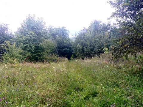 ділянка за адресою Шкільна