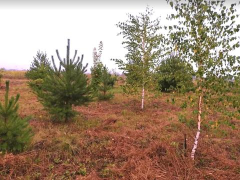 будинок за адресою Шосова